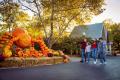 Pumpkins At Kentucky Kingdom