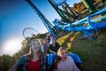 Pumpkins At Kentucky Kingdom
